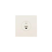 Розетка компьютерная 1-мест. СП ZIMA IP20 слон. кость LEZARD 704-9088-139